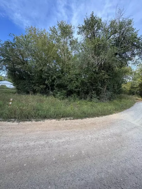 000 County Road 203, Couch, MO 65690 photo 3