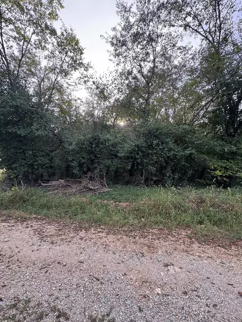 000 County Road 203, Couch, MO 65690 photo 2