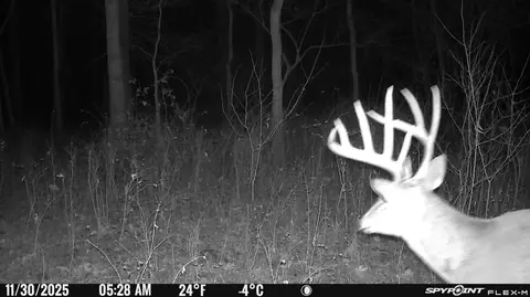 Other - 2412 W Azalea Rd, Nixa, MO 65714 photo 14 of 14