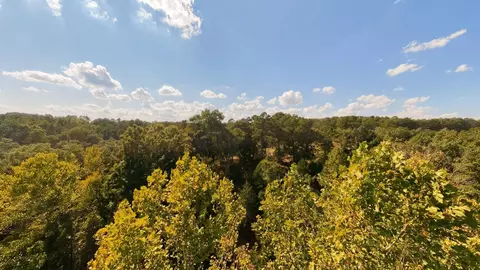 View/Area - 190 Wattle Trl, Drury, MO 65638 photo 14 of 22