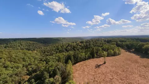 View/Area - 190 Wattle Trl, Drury, MO 65638 photo 22 of 22