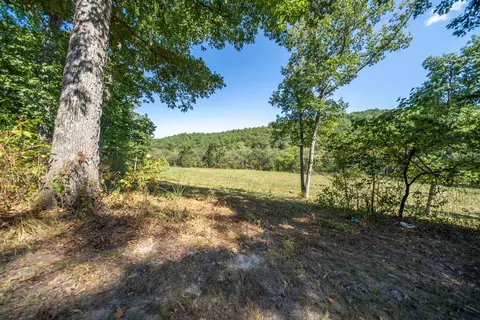 Exterior - 190 Wattle Trl, Drury, MO 65638 photo 3 of 12