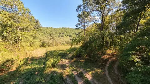 View/Area - 190 Wattle Trl, Drury, MO 65638 photo 2 of 22