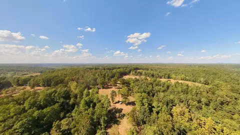 View/Area - 190 Wattle Trl, Drury, MO 65638 photo 5 of 22