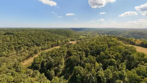 View/Area - 190 Wattle Trl, Drury, MO 65638 photo 6 of 22