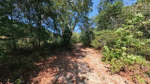 Exterior - 190 Wattle Trl, Drury, MO 65638 photo 4 of 12