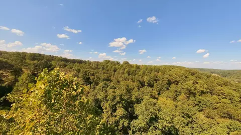 View/Area - 190 Wattle Trl, Drury, MO 65638 photo 13 of 22