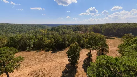 View/Area - 190 Wattle Trl, Drury, MO 65638 photo 9 of 22