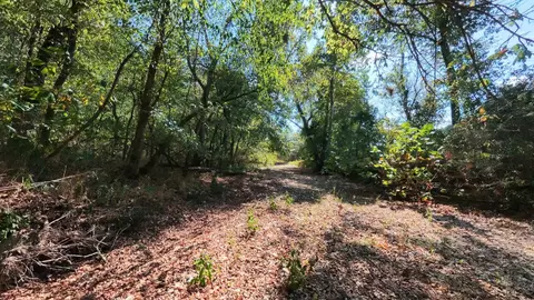 Exterior - 190 Wattle Trl, Drury, MO 65638 photo 5 of 12