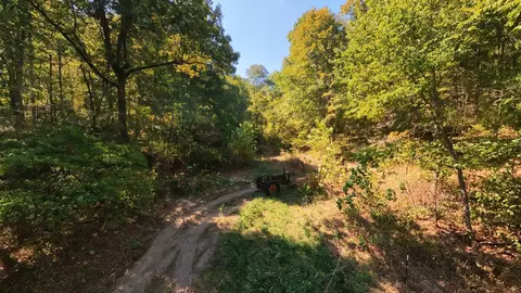 Exterior - 190 Wattle Trl, Drury, MO 65638 photo 6 of 12