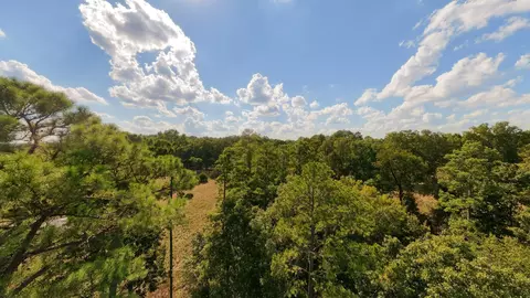View/Area - 190 Wattle Trl, Drury, MO 65638 photo 20 of 22