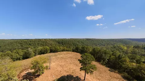 View/Area - 190 Wattle Trl, Drury, MO 65638 photo 7 of 22