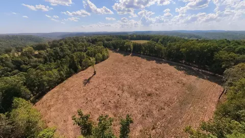 View/Area - 190 Wattle Trl, Drury, MO 65638 photo 21 of 22