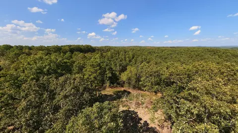 View/Area - 190 Wattle Trl, Drury, MO 65638 photo 10 of 22