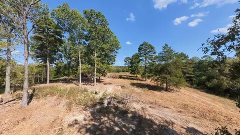 View/Area - 190 Wattle Trl, Drury, MO 65638 photo 17 of 22