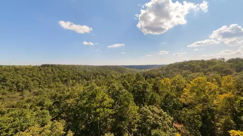 View/Area - 190 Wattle Trl, Drury, MO 65638 photo 11 of 22