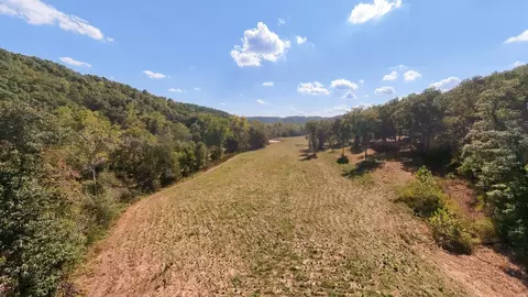 Other - 190 Wattle Trl, Drury, MO 65638 photo 7 of 16