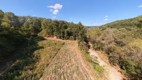 View/Area - 190 Wattle Trl, Drury, MO 65638 photo 1 of 22