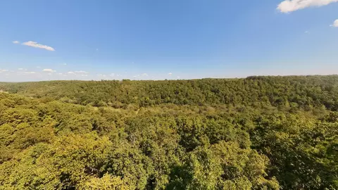 View/Area - 190 Wattle Trl, Drury, MO 65638 photo 12 of 22