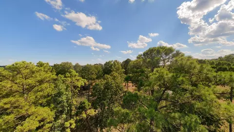 View/Area - 190 Wattle Trl, Drury, MO 65638 photo 19 of 22
