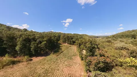 Other - 190 Wattle Trl, Drury, MO 65638 photo 5 of 16