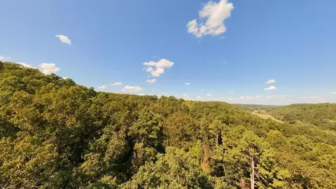 View/Area - 190 Wattle Trl, Drury, MO 65638 photo 4 of 22