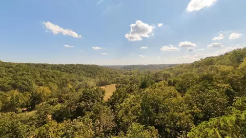 View/Area - 190 Wattle Trl, Drury, MO 65638 photo 3 of 22