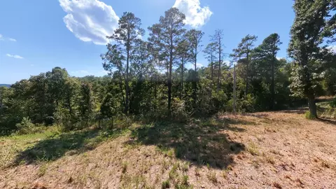 Exterior - 190 Wattle Trl, Drury, MO 65638 photo 9 of 12