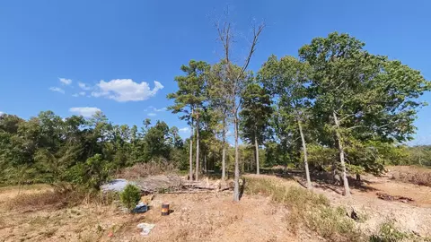 View/Area - 190 Wattle Trl, Drury, MO 65638 photo 18 of 22