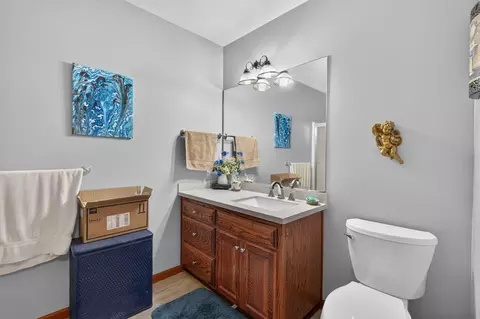 Bath - 327 Alice Pl, Ozark, MO 65721 photo 3 of 4