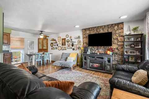 Living - 352 Cedar Park Rd, Branson, MO 65616 photo 1 of 4