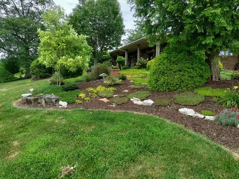 Exterior - 480 Hunter Rdg, Clever, MO 65631 photo 5 of 30