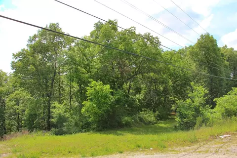 2291 2a State Hwy 265, Branson, MO 65616 photo 4