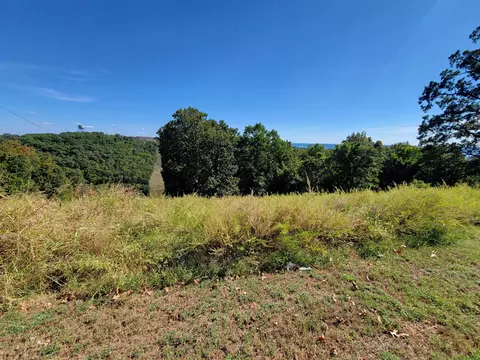lot21 Compton Ridge Rd, Branson, MO 65616 photo 4