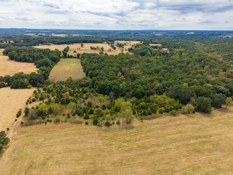 000 Highway 5, Hartville, MO 65667