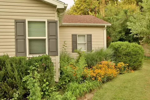 Exterior - 648 S Peach Tree Ave, Springfield, MO 65802 photo 10 of 19