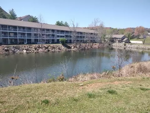 View/Area - 40 Scenic Ct #3, Branson, MO 65616 photo 2 of 2