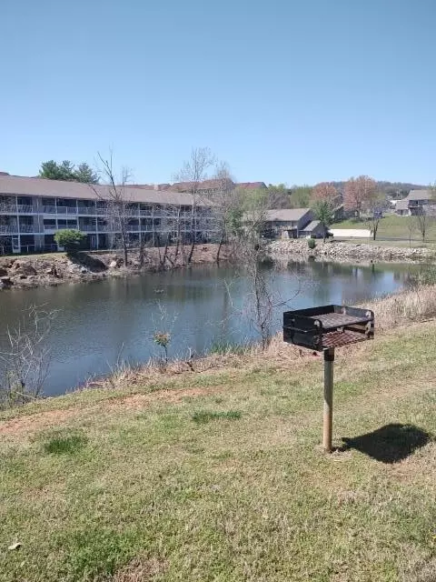 View/Area - 40 Scenic Ct #3, Branson, MO 65616 photo 1 of 2