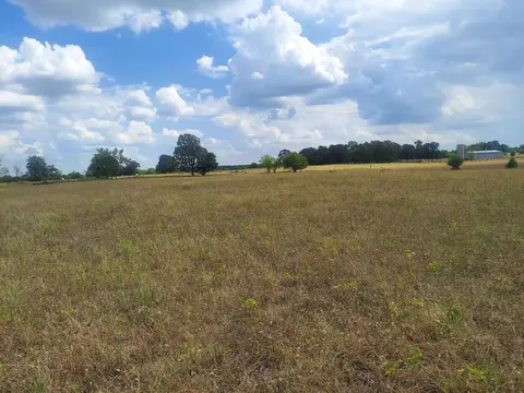 lot S 1 2 N State Highway Uu, Willard, MO 65781 photo 2