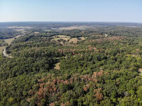 516 Raven Rd, Noel, MO 64854 photo 6