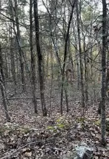 14 15 Treasure Pt, Lampe, MO 65681 photo 3
