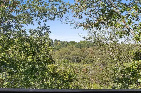 View/Area - 842 Silver Cliff Way, Branson West, MO 65737 photo 1 of 22