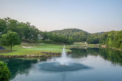 View/Area - 842 Silver Cliff Way, Branson West, MO 65737 photo 16 of 22