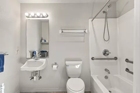 Bath - 423 Eagle Dr, Reeds Spring, MO 65737 photo 1 of 3