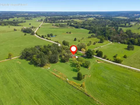 View/Area - 4005 State Highway D, Crane, MO 65633 photo 1 of 4