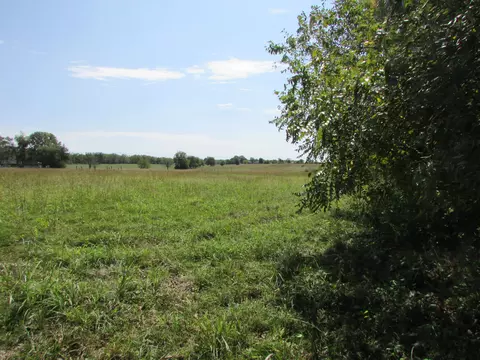 3140 E Hines St, Republic, MO 65738 photo 4