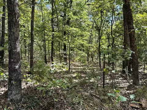 000 SE 1200 Rd, Collins, MO 64738 photo 11