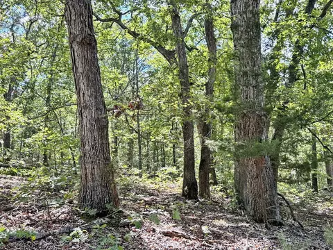 000 SE 1200 Rd, Collins, MO 64738 photo 6