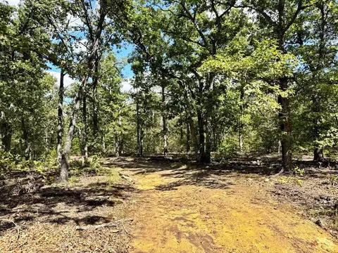 000 SE 1200 Rd, Collins, MO 64738 photo 20