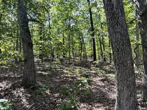 000 SE 1200 Rd, Collins, MO 64738 photo 13